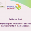 Caribbean NCD Forum highlights region's role in 2018 HLM on NCDs