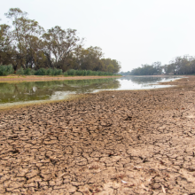 Para atender las crisis climática, alimentaria e hídrica, se deben escuchar los conocimientos tradicionales