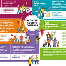 Bridging the Gap - NCD Civil Society Compass