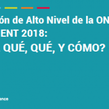 Reunión de Alto Nivel de la ONU sobre ENT: ¿Por qué, qué y cómo?