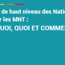 Réunion de haut niveau des Nations Unies 2018 sur les MNT :  Pourquoi, quoi et comment ?