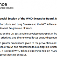 Statement at the Special Session of the WHO Executive Board, November 22-23