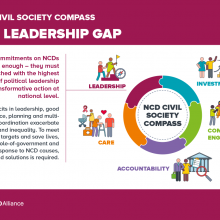 NCD Civil Society Compass - The leadership gap