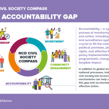 NCD Civil Society Compass - The accountability gap