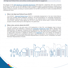 2017 UN High-level Political Forum Advocacy Briefing