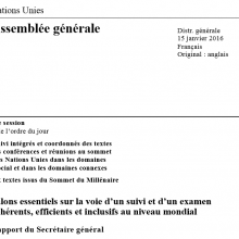 Jalons essentiels sur la voie d’un suivi et d’un examen cohérents, efficients et inclusifs au niveau mondial 