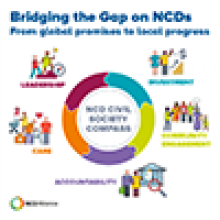 NCD Civil Society Compass - Gap cards