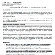 Advocacy briefing: WHO Executive Board 134