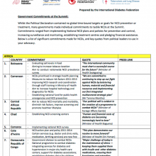 Summary of Specific Country Commitments made at the HLM with Key Quotes 