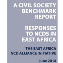 A civil society benchmark report: Responses to NCDs in East Africa