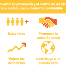 Enfermedades Crónicas No Transmisibles: Una prioridad para el desarrollo humano sostenible 