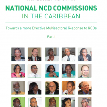 A Civil Society Report on National NCD Commissions in the Caribbean