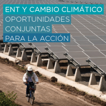 ENT y cambio climático: Oportunidades conjuntas para la acción