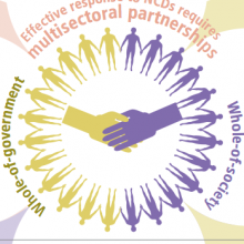 Advocacy Docket: Multisectoral action for NCD prevention and control - Why?