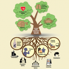 Advocacy Docket: Why we cannot ignore noncommunicable diseases