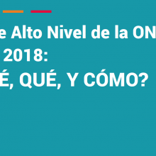 Reunión de Alto Nivel de la ONU sobre ENT: ¿Por qué, qué y cómo?