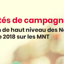 Priorités de campagne -  RHN de l&#039;ONU de 2018 sur les MNT 