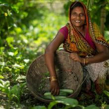 NCD Trailblazers Webinar: Healthy, sustainable food systems and policies to reduce diet-related NCDs