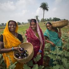 NCDs in the 2030 Agenda