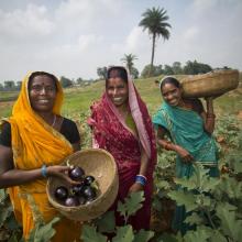 NCD Alliance side event: Sustainable financing for NCDs in the post-2015 development agenda