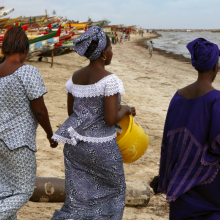 New national NCD alliance will support the NCD response in Senegal