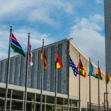 La Declaración de la ONU sobre el VIH y el sida se compromete a que el 90% de las personas que viven con el VIH accedan a la atención a las ENT y la salud mental