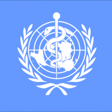 World Health Organization (WHO)