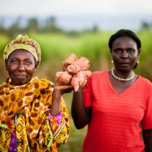 Addressing major food system reform to tackle nutrition-related NCDs