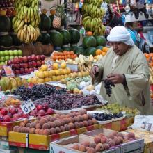 Un membre de la NCDA fait de la sensibilisation en Égypte