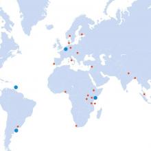 Building a Movement: National and Regional NCD Alliances 