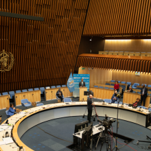 2021 World Health Assembly (WHA74)