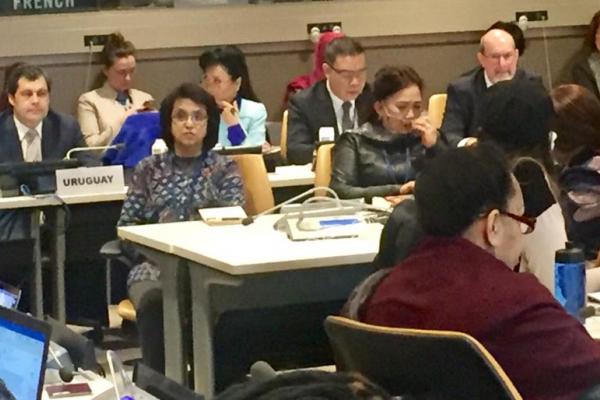 Priya Kanayson, NCDA Senior Advocacy Officer, speaks at CSW63. ©Dora Madariaga/NCDA