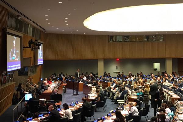 ECOSOC HLPF progress review of SDG3