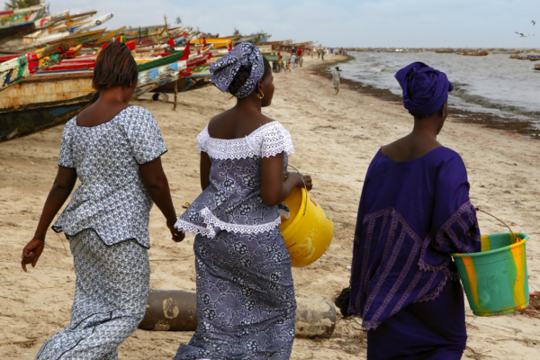 New national NCD alliance will support the NCD response in Senegal