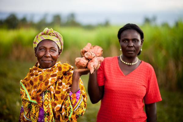 Addressing major food system reform to tackle nutrition-related NCDs