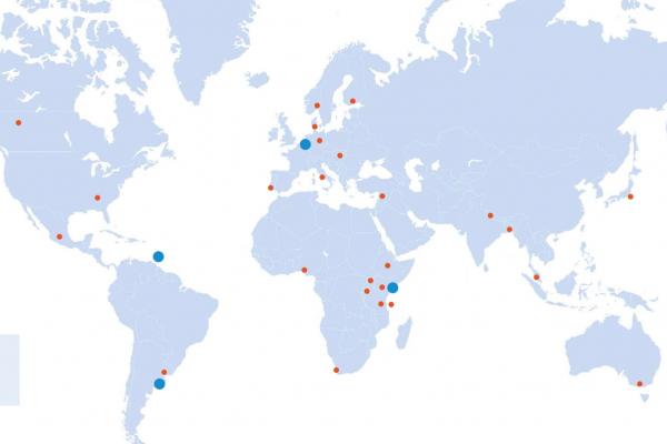 Building a Movement: National and Regional NCD Alliances 